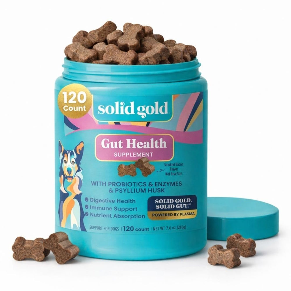 Solid Gold friandises molles saveur bacon pour chiens, soutien potentiel à la digestion.