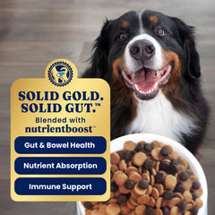 Solid Gold probiotiques et prébiotiques pour une digestion équilibrée.