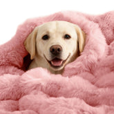 Couverture auto-chauffante SOMAHE pour chien, face sherpa, chaleur confortable