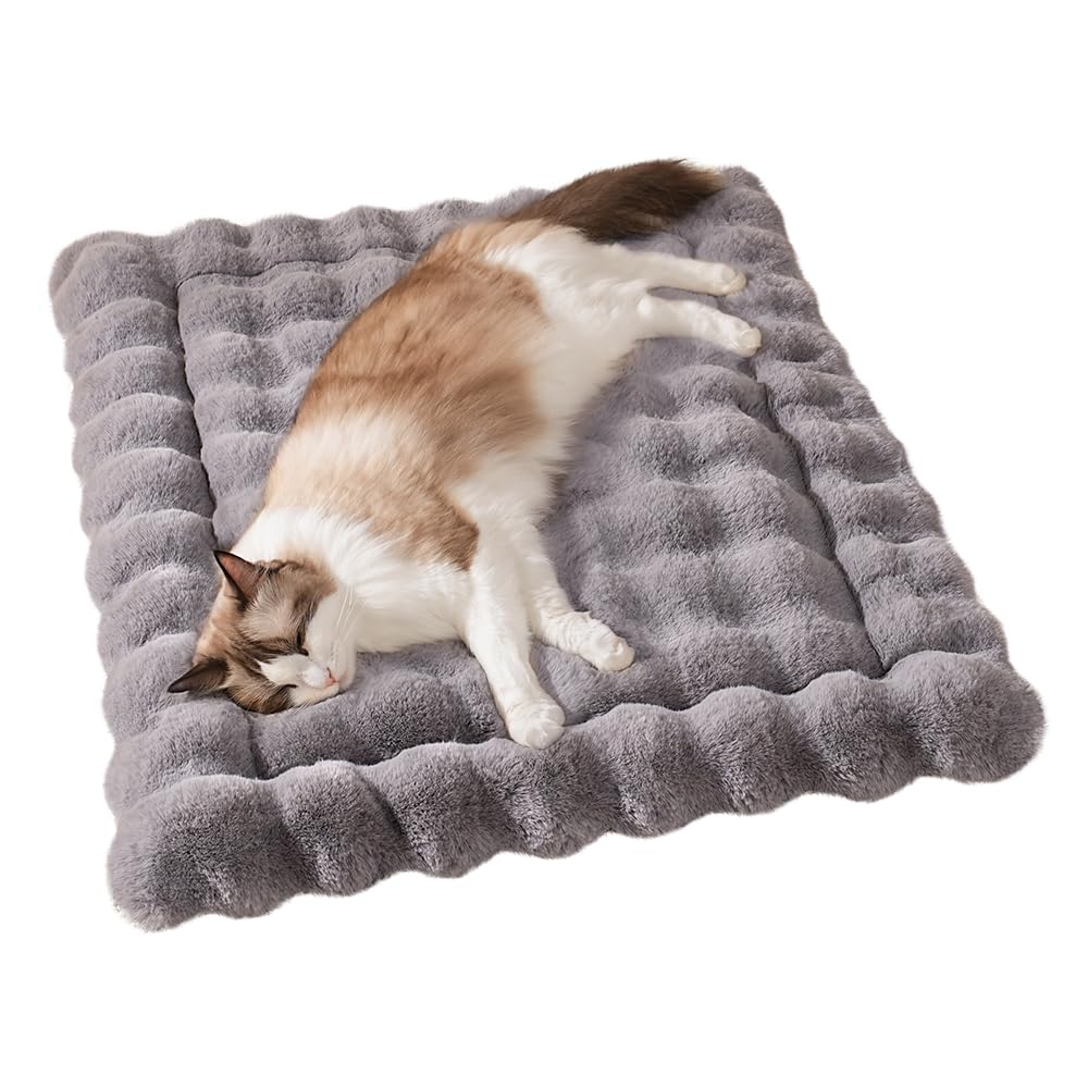 SOMAHE tapis chat doux et pelucheux, parfait pour sieste et câlins.