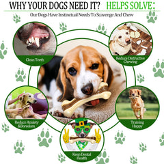 Jouet Sosation saveur boeuf pour chiots, aide à l'apprentissage par le goût.