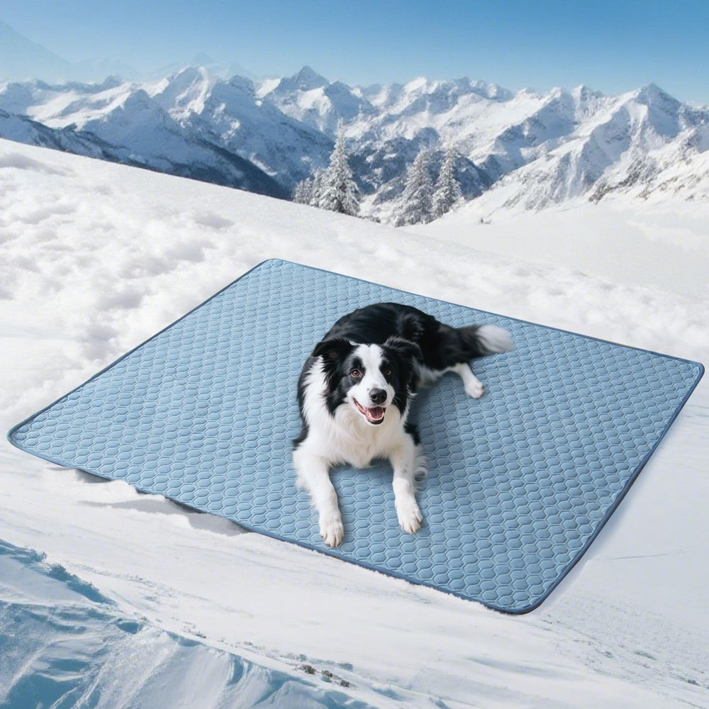 Soulbond Tapis Refroidissant XXL pour Chien: surface fraîche et confortable.
