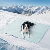 Soulbond-tapis-refroidissant-chien-extra-large offrant confort immédiat lors des chaleurs.
