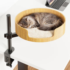 Spacocld Cat Desk Bed: design élevé pour gagner de l'espace et surplomber le bureau.