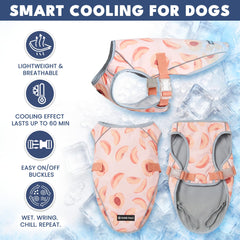Boucles latérales Spark Paws facilitant l’enfilage du gilet.