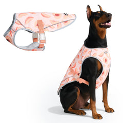 Spark Paws gilet refroidissant pour chien en action, confort immédiat.