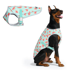 Gilet refroidissant Spark Paws Watermelon sur chien, fraîcheur rapide pour l'été.