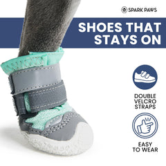 Guide-mesure-pattes Spark Paws facilite l'ajustement parfait.