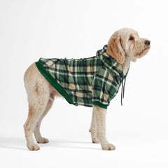 Sweat Spark Paws pour chien, carreaux verts, avant – confort et liberté de mouvement.