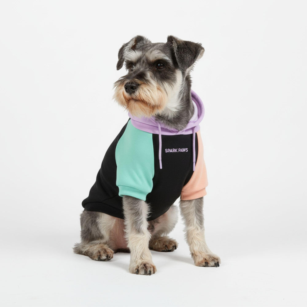 Spark Paws Hoodie Chien — vue avant, coupe adaptée et style tendance.