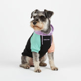 Spark Paws Hoodie Chien — vue avant, coupe adaptée et style tendance.