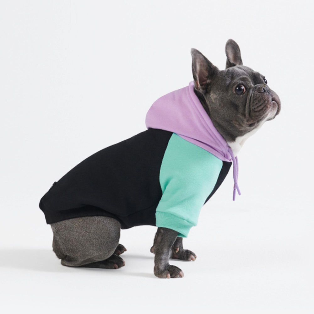 Spark Paws Hoodie: pull chien cosy pour balades quotidiennes et confort durable.