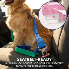 Spark Paws – Laisse robuste en nylon renforcé pour chiens forts et entraînements.