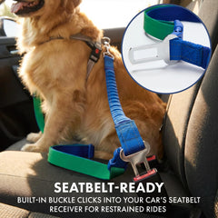 Spark Paws laisse robuste adaptée aux chiens forts et actifs.