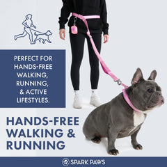 Spark Paws – Laisse amortissante avec bungee pour réduire les tirages lors des balades.