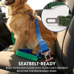 Spark Paws: longe tactique robuste adaptée aux grandes races.