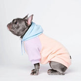 Spark Paws Hoodie visage chien — confort doux et liberté de mouvement.