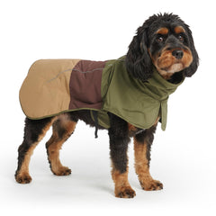 Spark Paws manteau pluie chien, protection complète contre pluie et vent, restez sec.