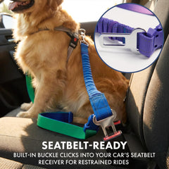 Spark Paws nylon renforcé et longévité pour chiens forts et actifs.