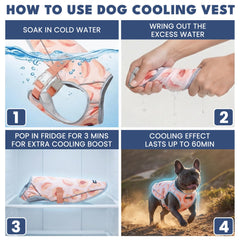Option congélation Spark Paws pour refroidissement renforcé sur chien.