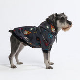 Spark Paws pull-chien intérieur douillet pour les promenades par temps frais.