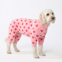 Spark Paws pyjama chien avec tissu quadri-directionnel pour un confort optimal.