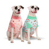 Spark Paws Sunblock T-Shirt UV30 protège la peau sensible lors des jeux d'été.