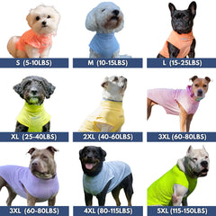 T-shirt léger et respirant Spark Paws pour chiens actifs en été.