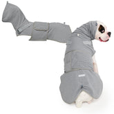 Veste Spark Paws portée par un chien, apaisement possible pendant les sorties.