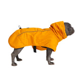 Veste Spark Paws imperméable pour chien – couverture complète protège contre pluie et vent.