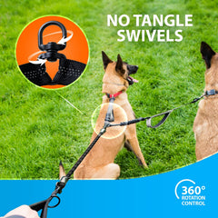 Rotation à 360° évitant les enchevêtrements lors des sorties avec deux chiens.