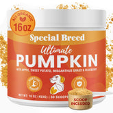 Special Breed Citrouille Ultime versé sur la nourriture, soutien digestif naturel pour chiens.