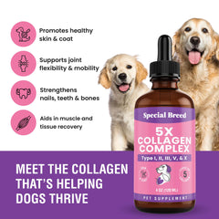 Special Breed Collagène : soutien des articulations et mobilité quotidienne.