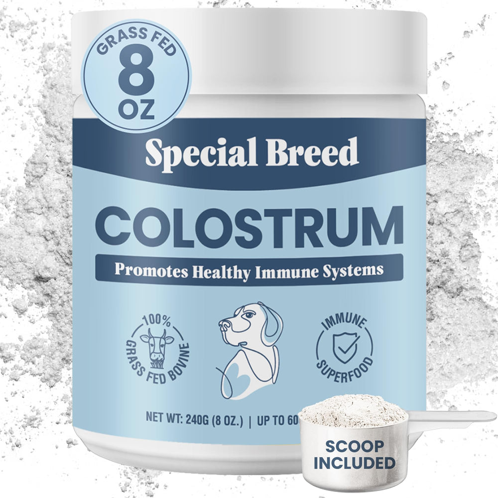 Special Breed Colostrum Bovin bouteille visible, soutien immunitaire potentiel.