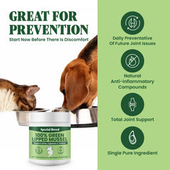 Special Breed Emballage poudre moules vertes, dosage pratique pour une administration facile.