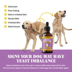 Special Breed gouttes-levures-chien-versement-eau: intégration simple dans l'hydratation.