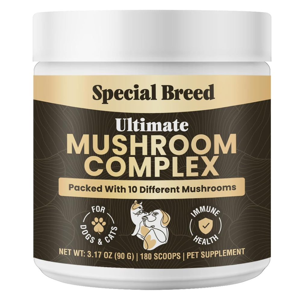 Special Breed Poudre champignons - bouteille illustrant le soutien immunitaire potentiel pour chiens et chats.