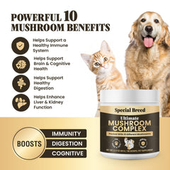 Special Breed Poudre champignons - doseur, facile à mélanger dans les repas quotidiens.