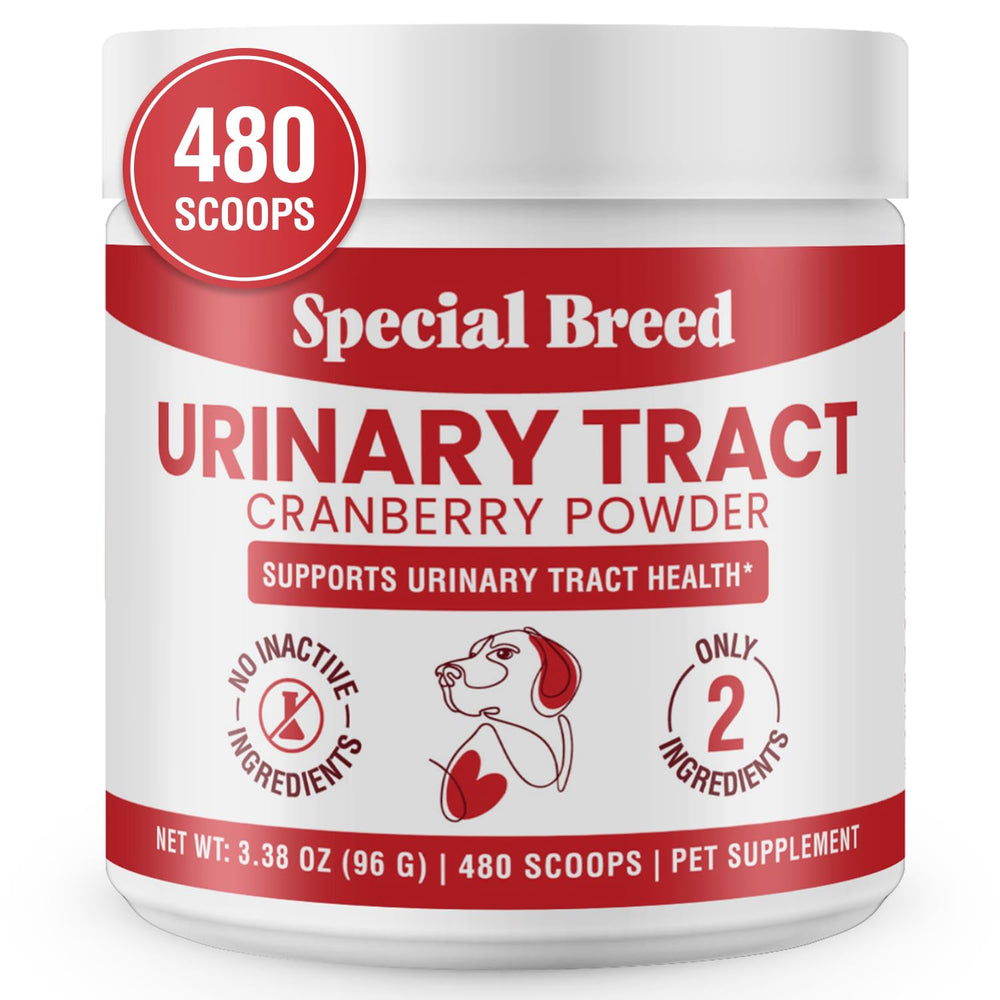 Special Breed poudre cranberry en bouteille pour le soutien urinaire du chien.