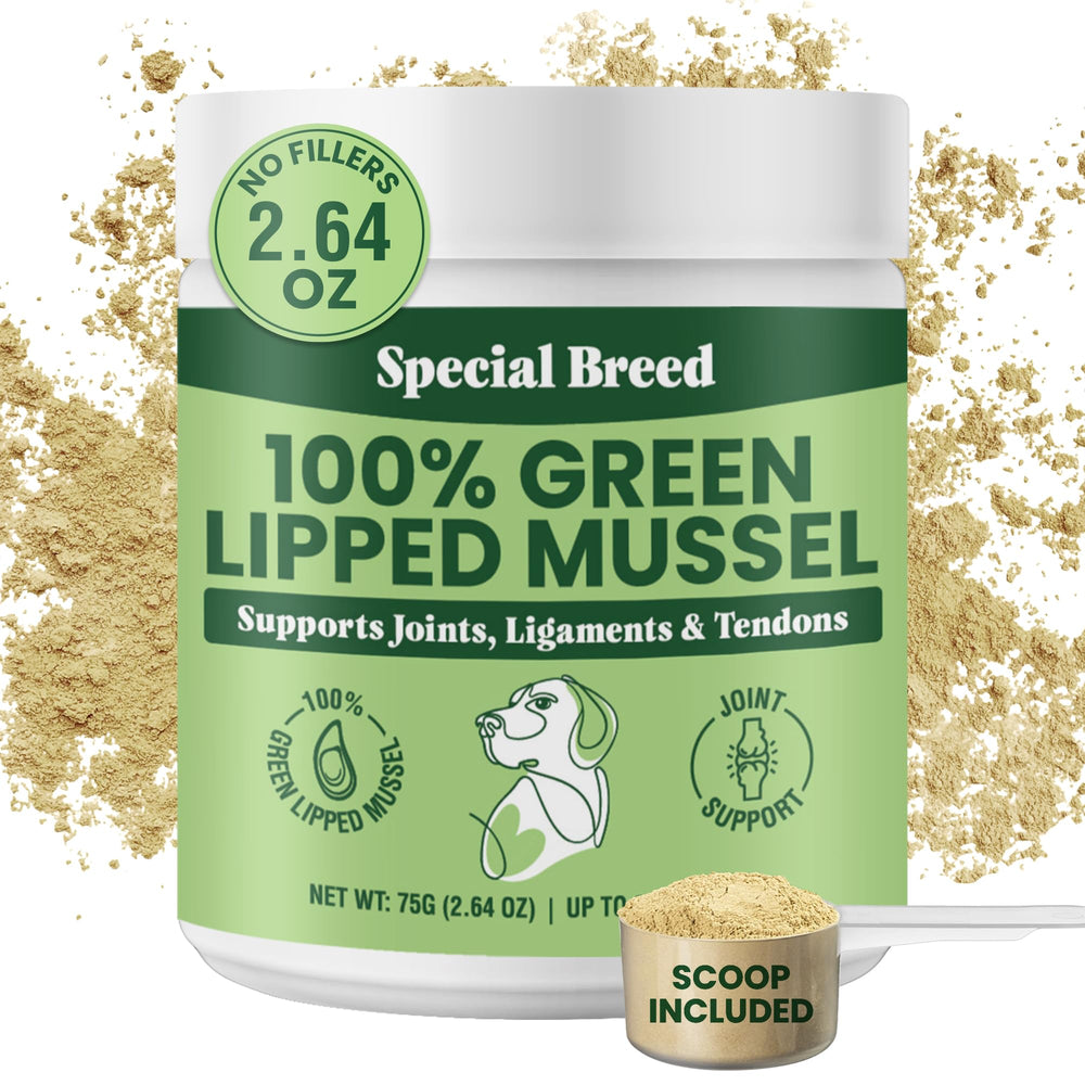 Special Breed poudre moules vertes Nouvelle-Zélande pour chiens et chats, soutien articulations potentiel.