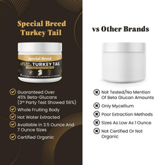 Special Breed tramete queue-dinde extraction-eau-chaude, meilleure biodisponibilité des composants