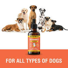 Special Breed Vitamine C pour chien, dose pratique, administration facile.