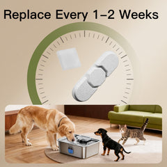 Speedeer ZTS1502 filtre remplacement: filtration efficace et eau plus agreable