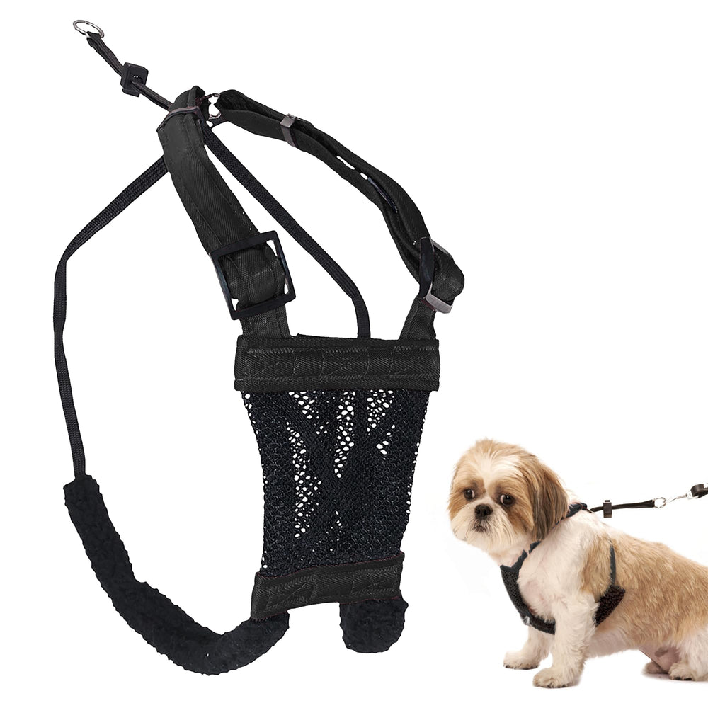 Harnais Sporn anti-pull pour petit chien, douceur et contrôle sans strangulation.