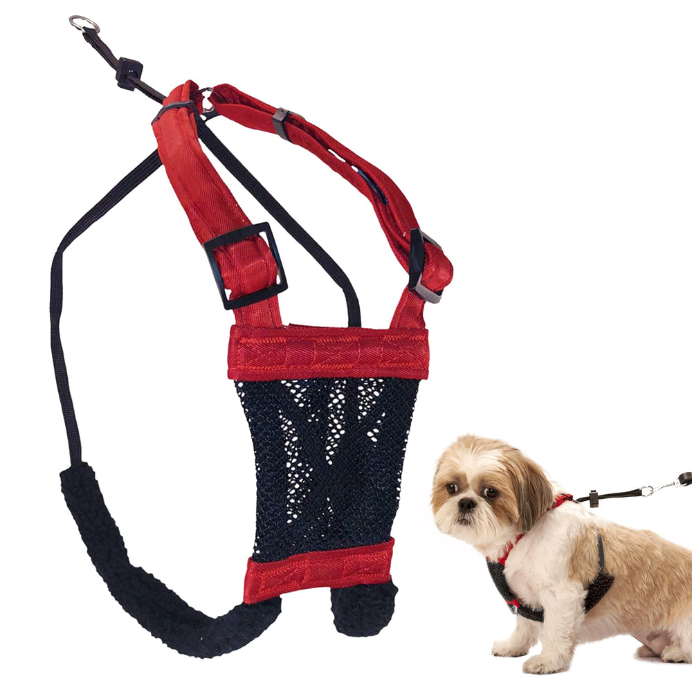 Harnais Sporn No Pull pour petit chien rouge améliore le contrôle en laisse