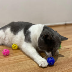 SPOT balle colorée pour chat, parfait pour jeux en intérieur