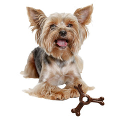 SPOT Bam-Bones Plus – jouet mordant durable pour chiens robustes et actifs.