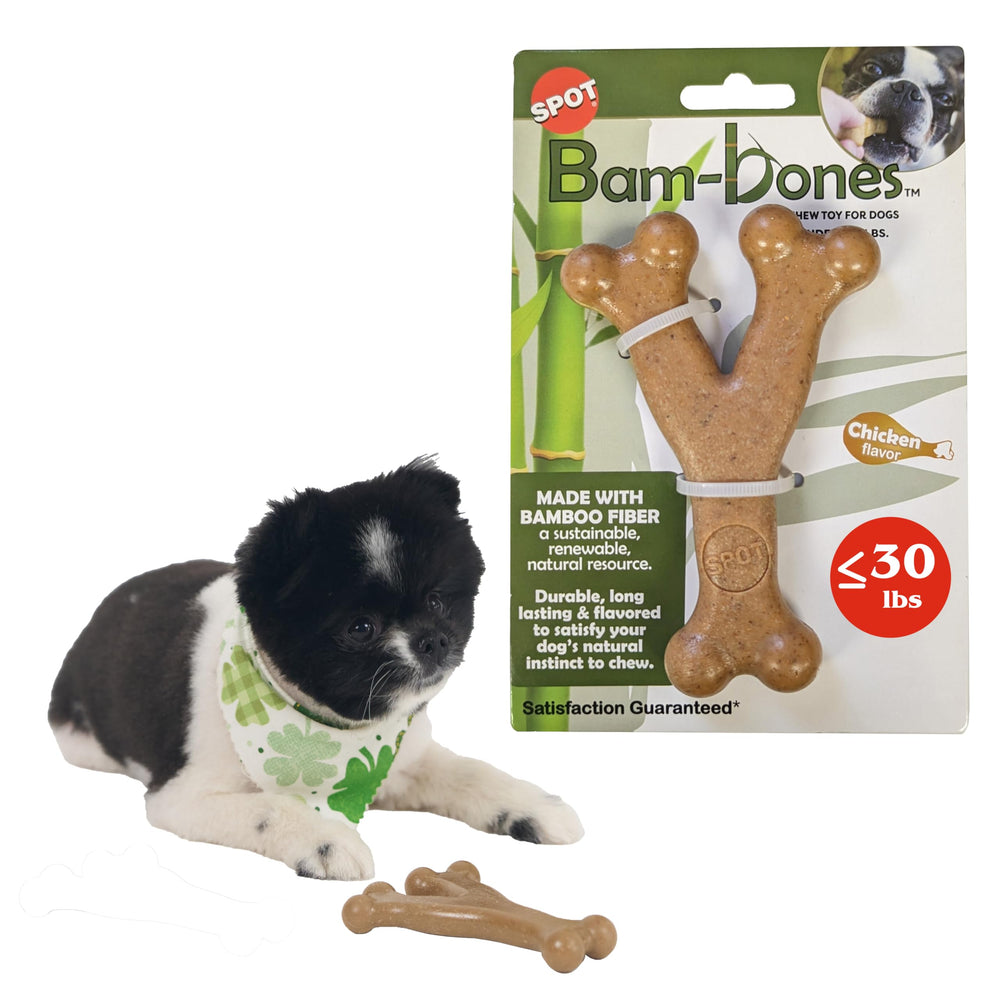 SPOT Bam-Bones Wishbone – prise facile entre les pattes pour un jeu indépendant.