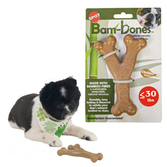 SPOT Bam-Bones Wishbone – prise facile entre les pattes pour un jeu indépendant.