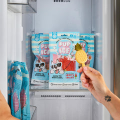SPOT Pup Ice – bâtonnets ananas, saveur fruitée et sans arômes artificiels.